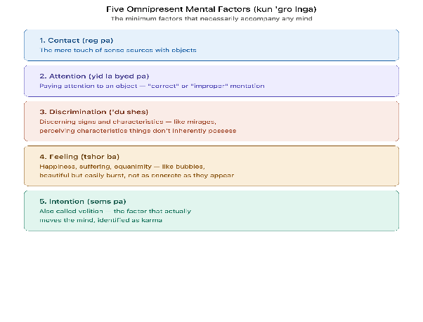 The Five Omnipresent Mental Factors